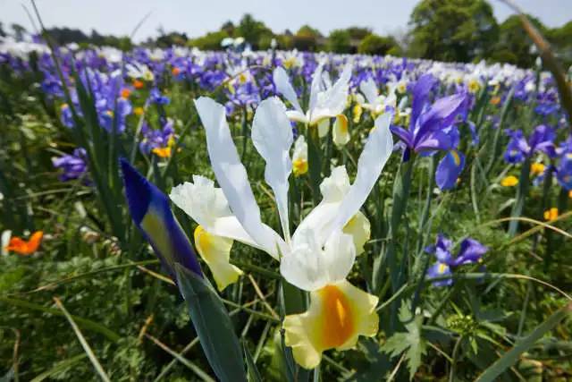 成都去石象湖的游玩攻略,成都石象湖门票哪个月去最佳