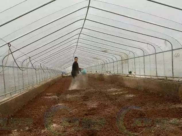 猪场粪污发酵系统,养猪场粪污发酵处理设备