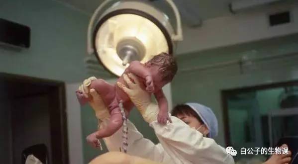 生孩子是怎么回事？反正不是好事，只有切身体验过才会懂！