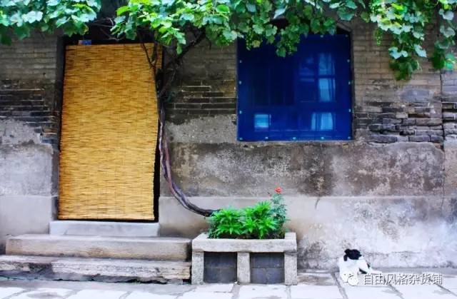 厚街咖啡店,厚街24小时营业的咖啡店