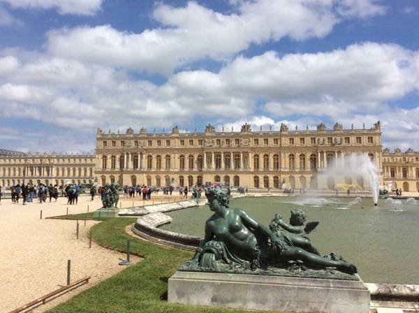 每日花语100句,每日花语蒲公英