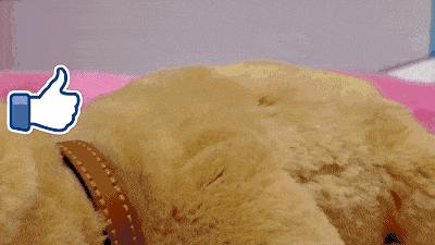 最实用的十款玩具推荐,送女儿的玩具推荐