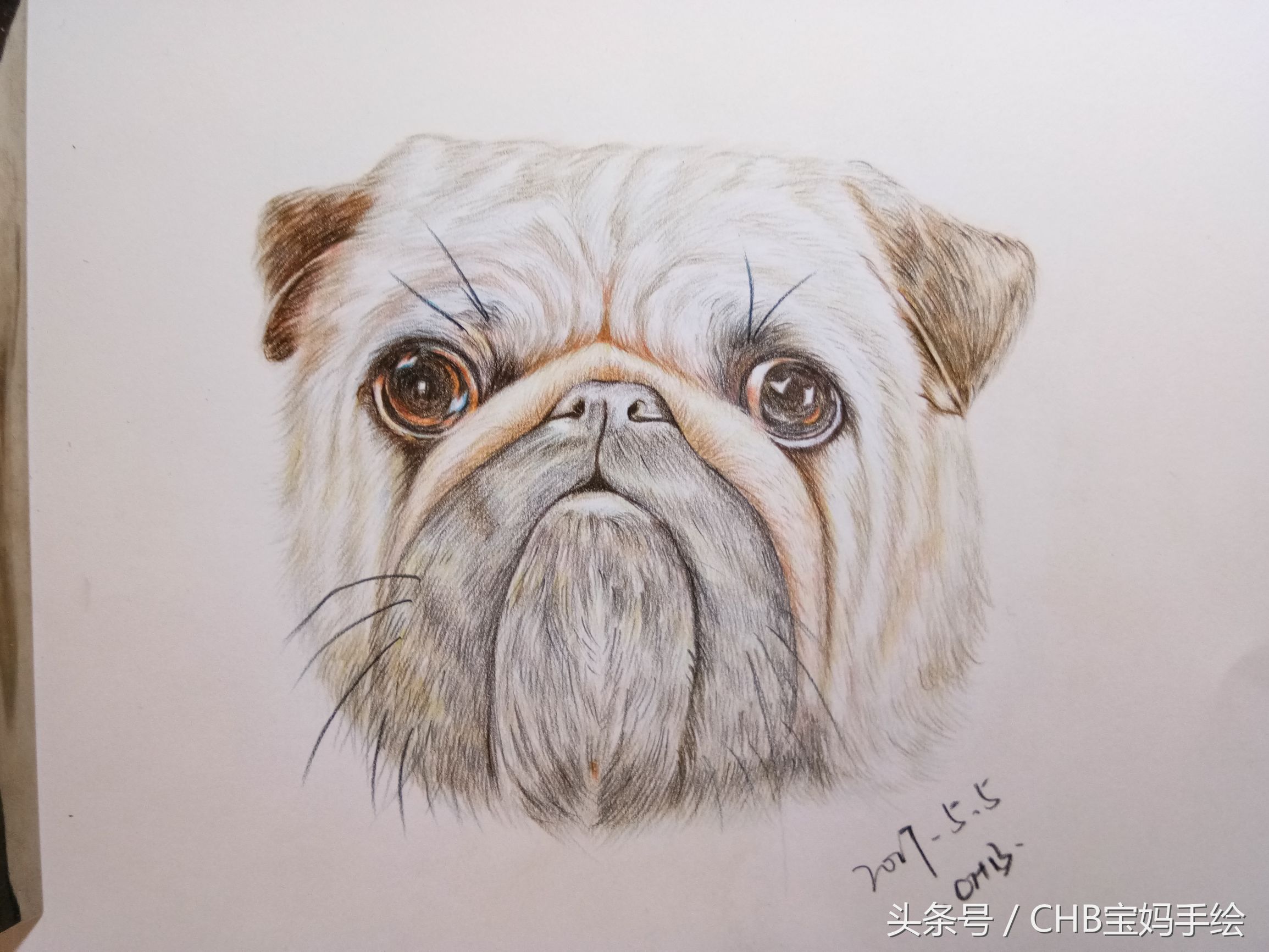 彩铅绘画入门零基础小狗,零基础学铅笔画入门小狗