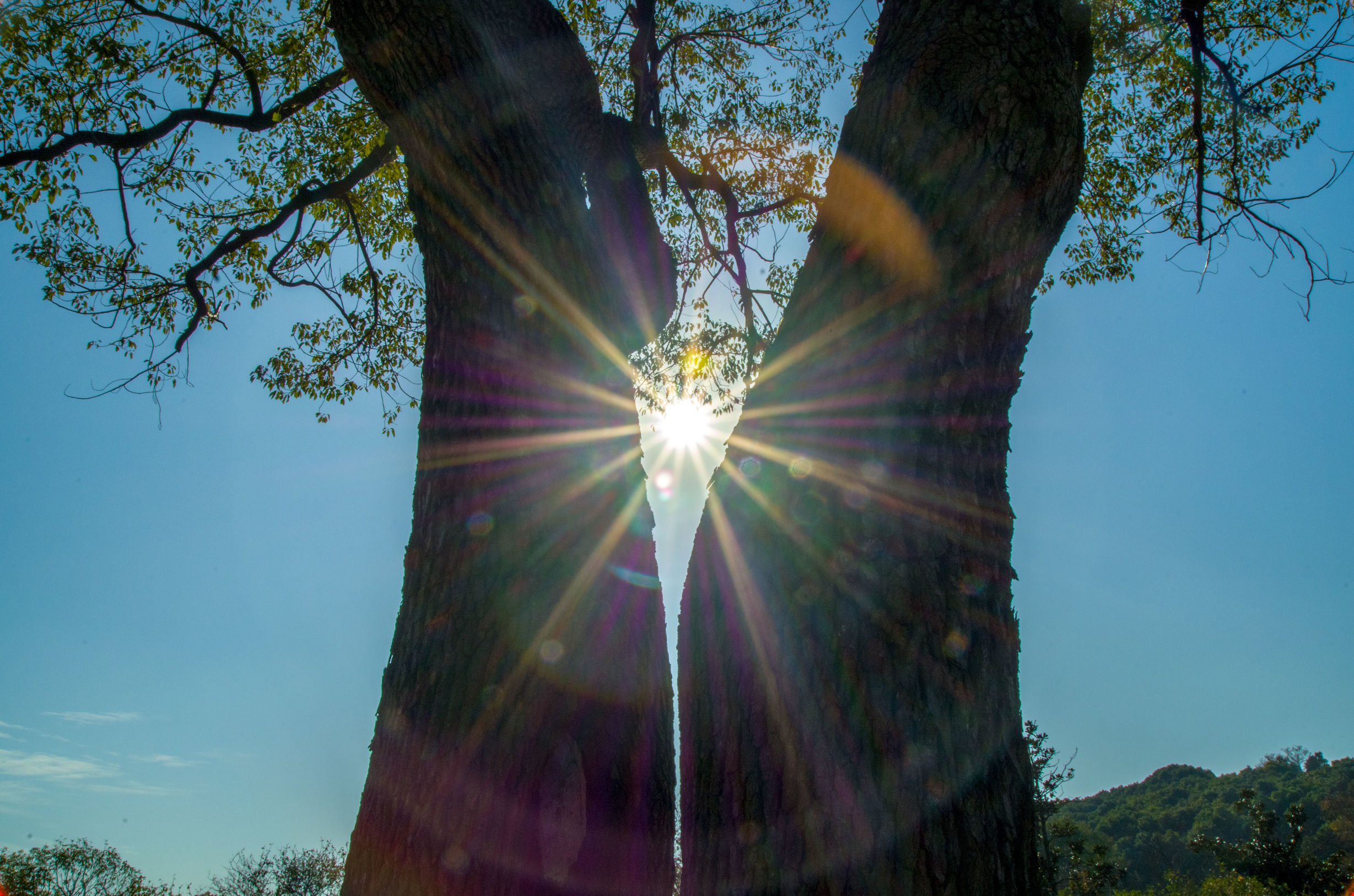 摄影小白推荐相机300左右,拍照好的长焦镜头推荐