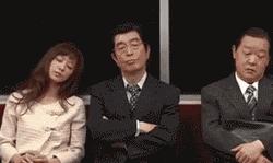 囧吐槽：撸猫影响学习，还是撸狗吧