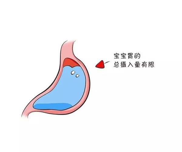 6个月宝宝需要喝水吗,6个月的宝宝需要喝水杯吗