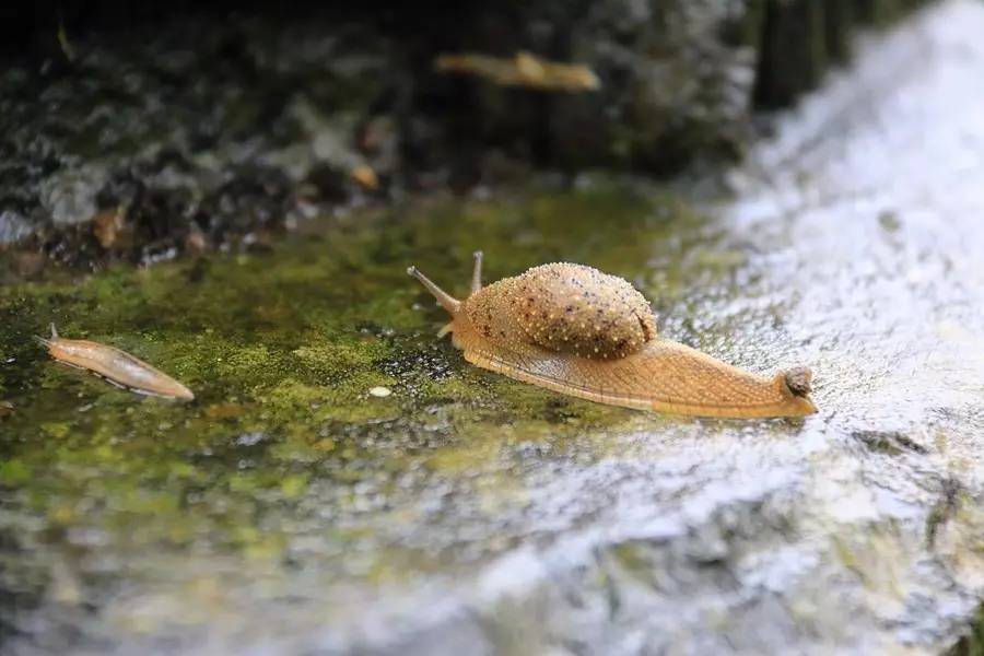 元宝山下,山水云间,悠悠闲云时光,恰好那时我也在