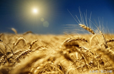 濂戒繚闄゛pp,濂介櫓app