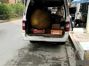 我有一个大胆的想法完整,我有一个大胆的想法幽默搞笑