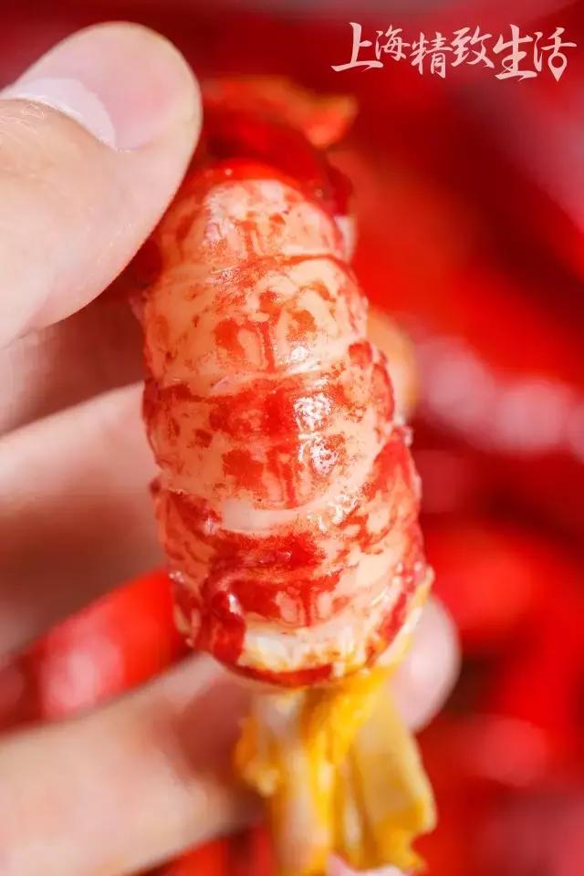 上海清水小龙虾,上海澳洲小龙虾