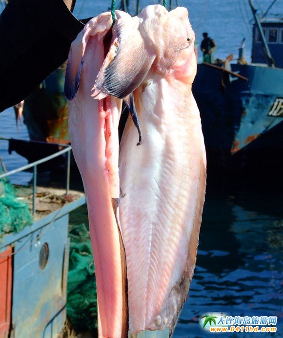 大连旅游攻略赶海和美食,大连旅游攻略必去的十大美食