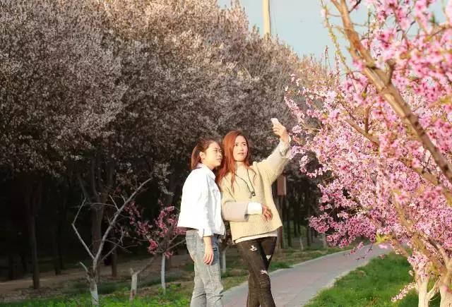 大西安·微PK｜阎良区竟然还有这么多名字你知道几个？