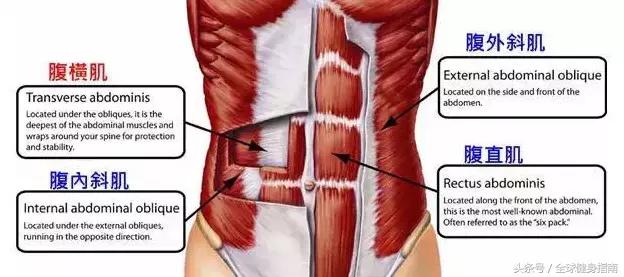 卷腹仰卧起坐正确姿势基本功,卷腹和仰卧起坐哪个效果更好