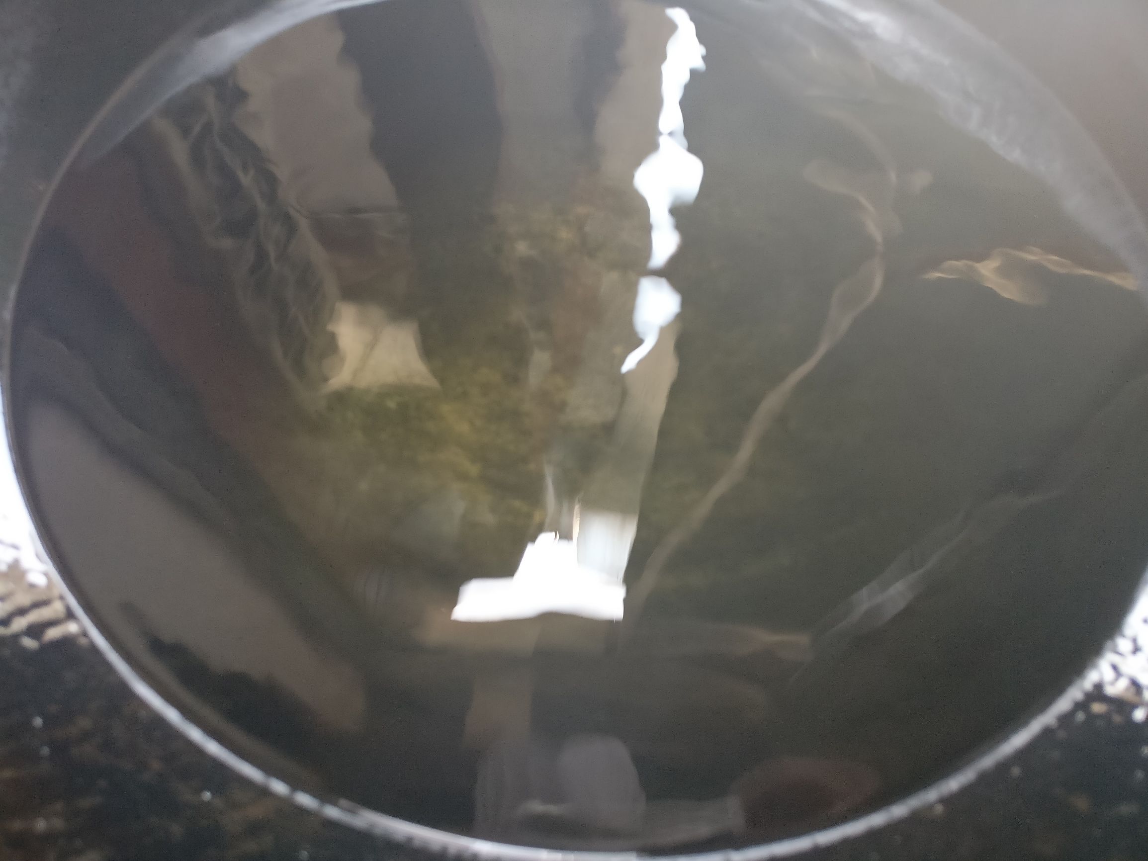 国家一级厨师教你做玉米烙,厨师怎么做玉米烙