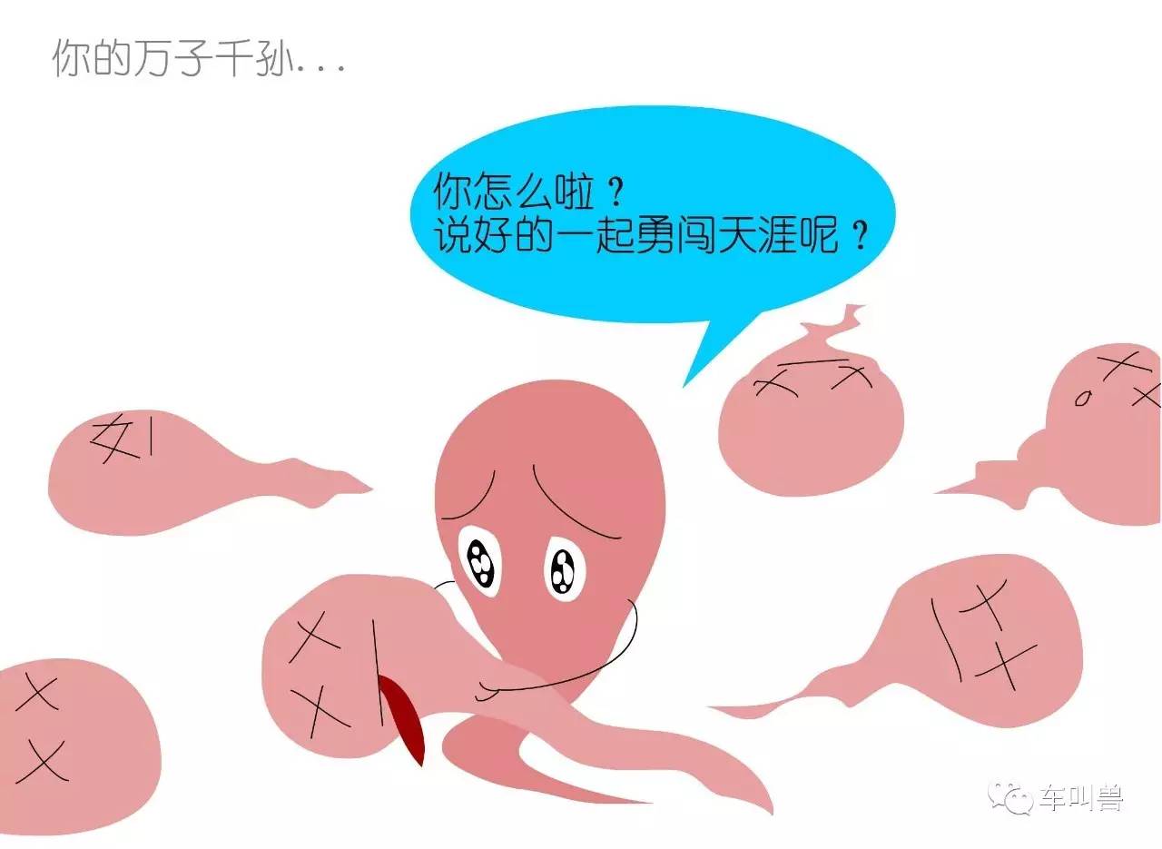 车叫兽视频讲解,车叫兽