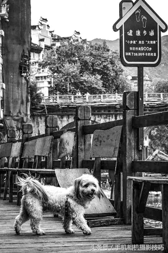 为什么你拍出来的照片很不好看,为什么拍出来的照片反过来就难看