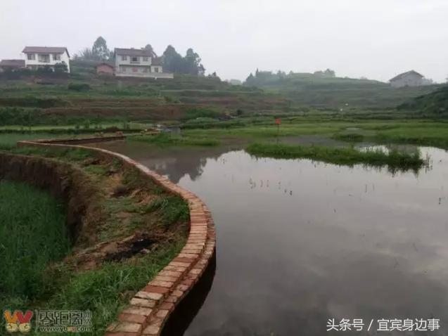 小龙虾基地钓龙虾,瑶海野钓龙虾的最佳地点