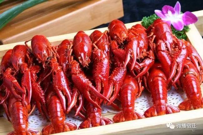 宿迁市区最好吃的小龙虾,江苏省宿迁哪里有小龙虾