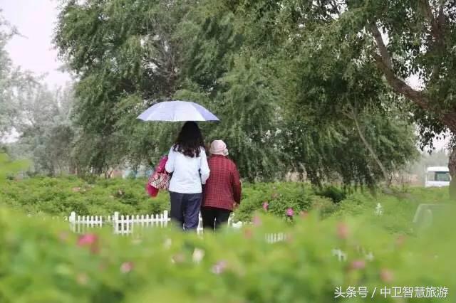 金沙岛旅游门票,周末福利大放送千万别错过