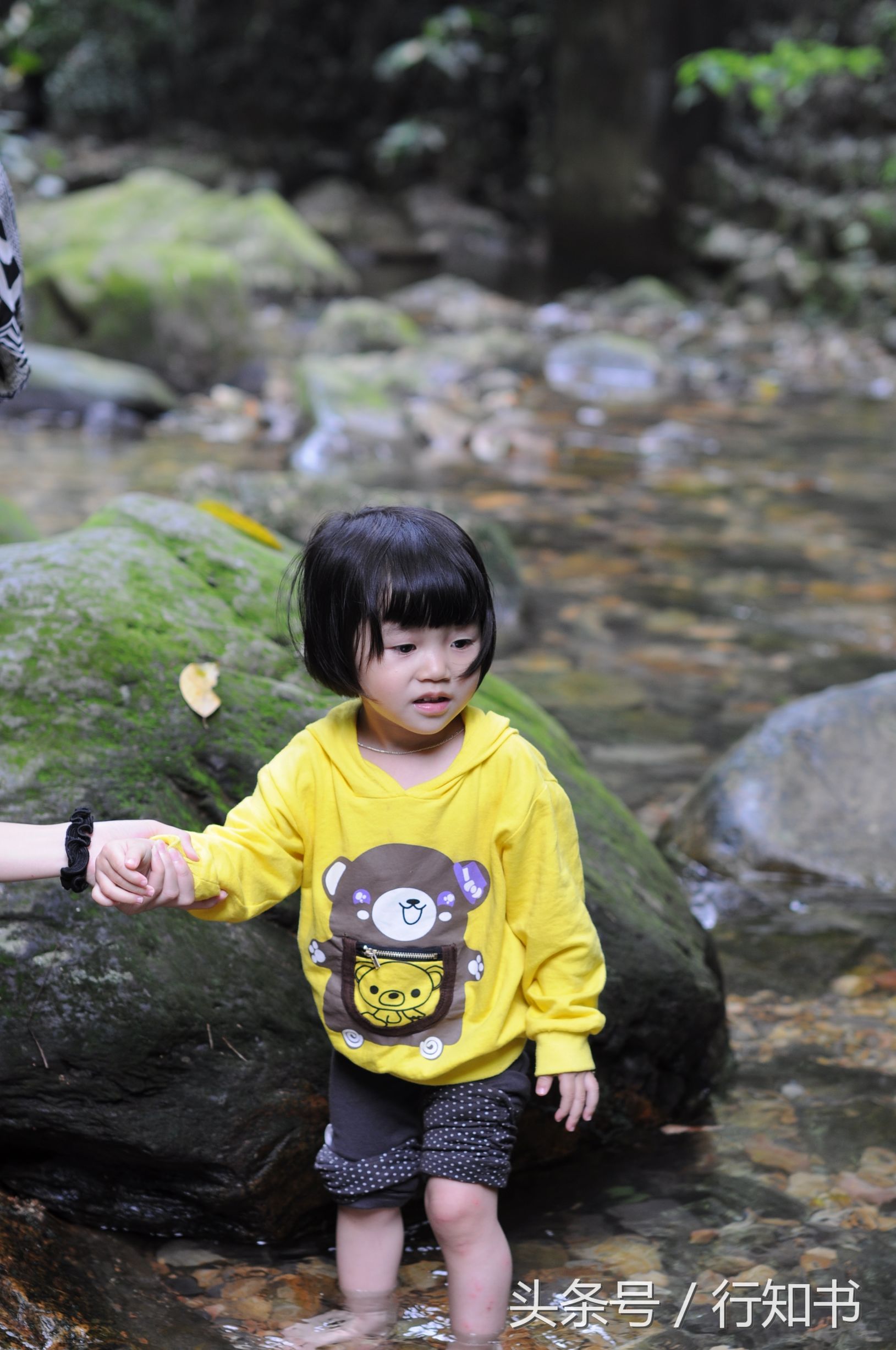 深圳旅游必去十大景点动物园,广州一日游最佳去处动物园