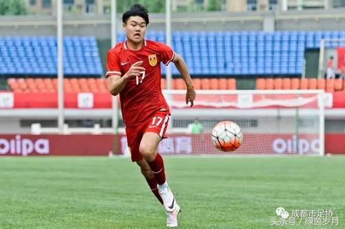 2019年熊猫杯,熊猫杯往期作品