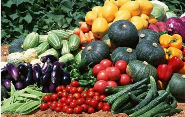 农村不起眼的暴利小生意,县城农村暴利小生意有哪些