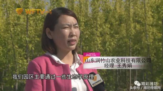 飞越齐长城:生态发展的竹山模式