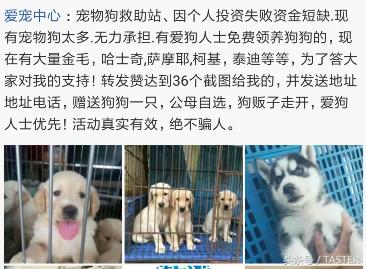 转发说说送小狗?集赞30送樱桃?又到夏天这群*子骗**又来了!