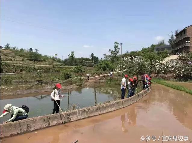小龙虾基地钓龙虾,瑶海野钓龙虾的最佳地点
