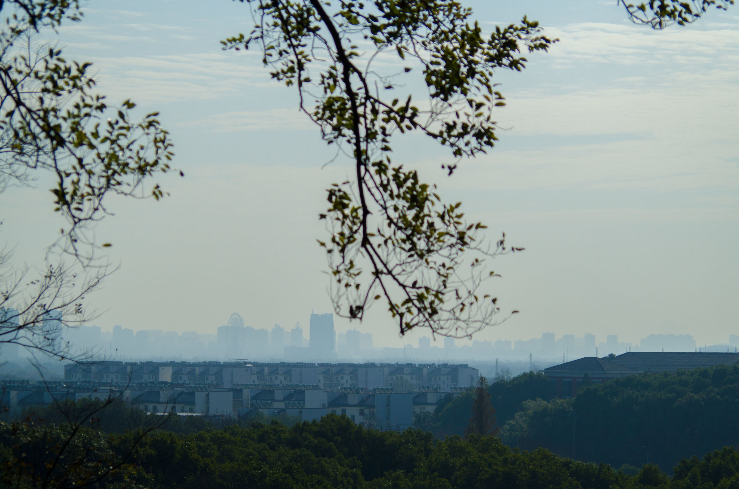 摄影小白推荐相机300左右,拍照好的长焦镜头推荐