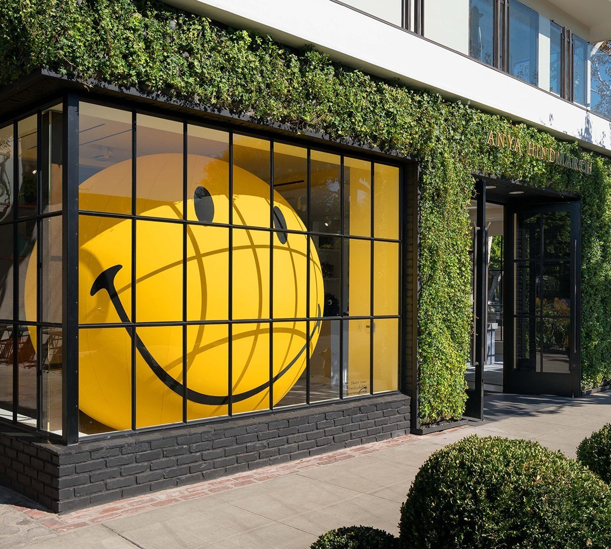 怎么拥有魔法导师,怎么才能让自己拥有真正的魔法