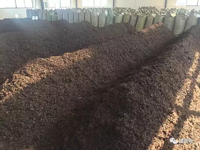 喝普洱茶后牙齿发酸是怎么回事,普洱茶发苦什么原因