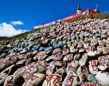 西藏旅游前吃什么药膳,去西藏前吃点什么不会高反