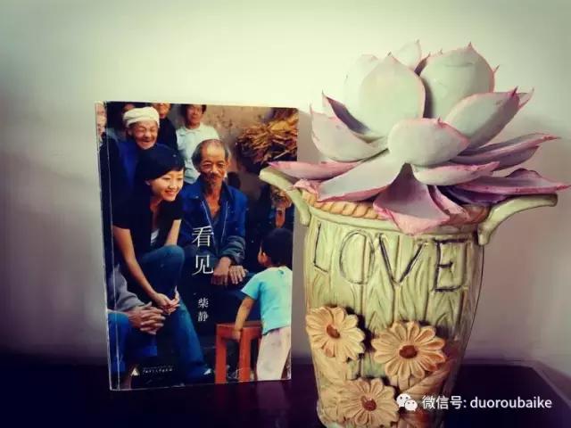 原来多肉与书更配哦！文艺范走起！