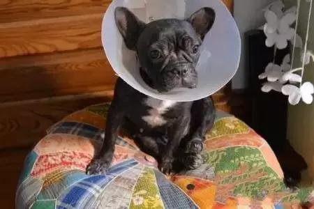 了解这些让胃癌离你远一点,了解这些可以让你少走弯路