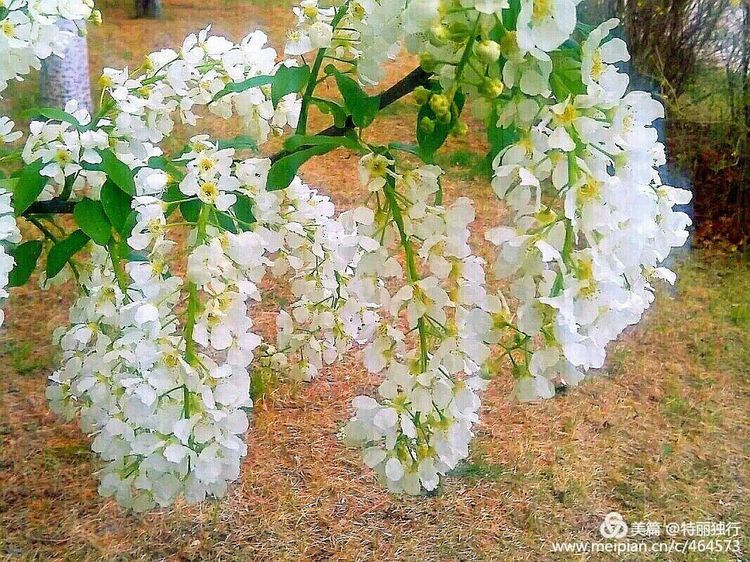 走过四季夏天最美,走过春夏美丽的秋冬