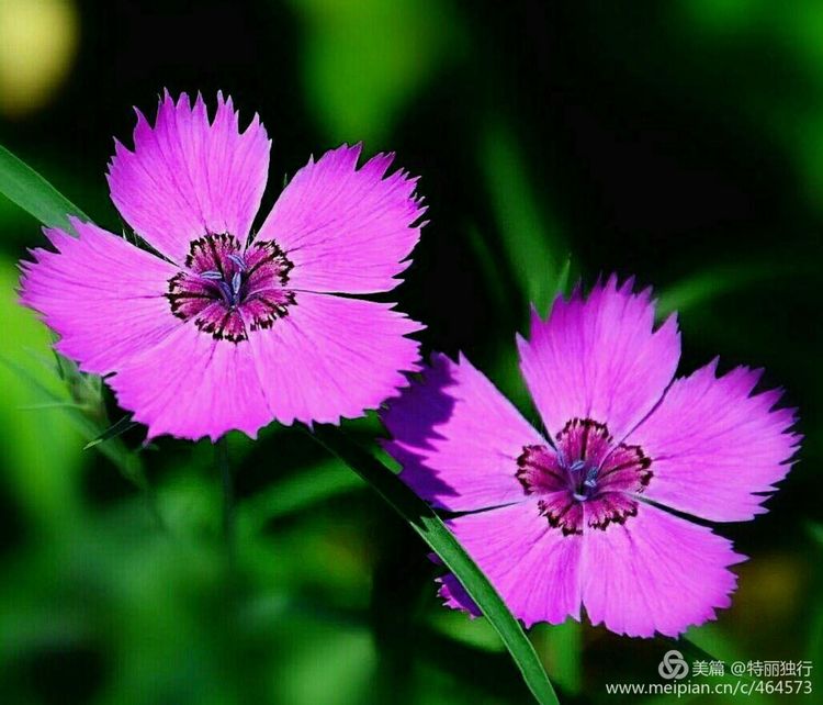 走过四季夏天最美,走过春夏美丽的秋冬