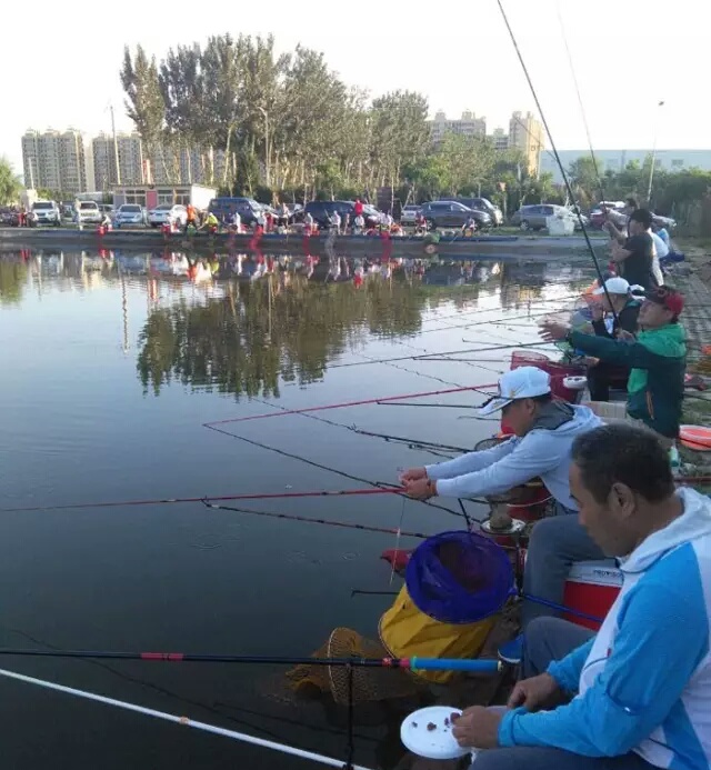 「四十二」老狼谈钓技：黑坑钓鱼，连竿、爆护离不开这几点