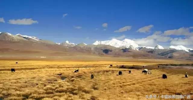 2万5千公里｜跨越半个中国，我们在路上等你