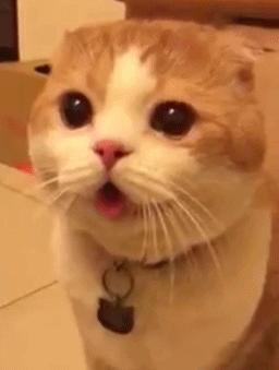 调侃国足出线的顺口溜虽败犹荣,国足出线形势分析搞笑