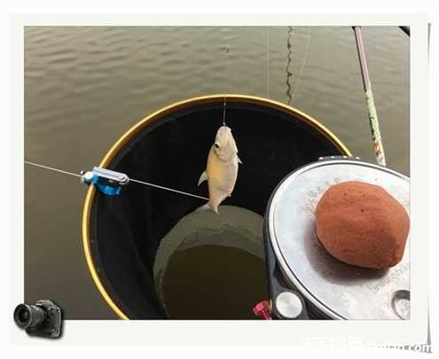 老地方钓鱼不好钓,五一抓鱼捕虾好去处