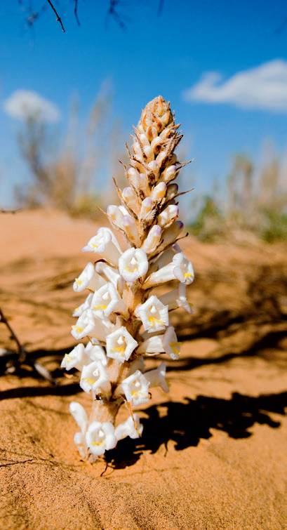 内蒙摄影作品,一份简单内蒙古草原旅游攻略