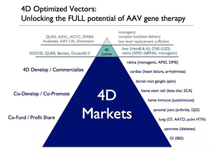 基因治疗预计2024年有望上市,基因治疗初创公司