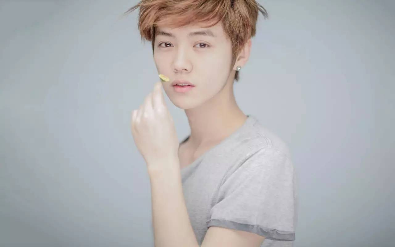 鹿晗树深时见鹿小说,鹿晗森林里的小鹿