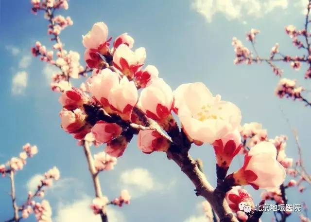 棣栭兘鍖荤澶у闄勫睘鍦板潧鍖婚櫌楠ㄧ,鍖椾含鍦板潧鍖婚櫌楠ㄧ涓撳濂藉悧