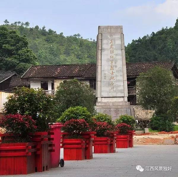 江西广昌白莲之乡,走遍江西100县
