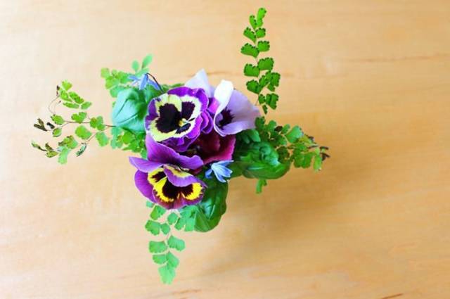 多伦多周末有什么好玩的地方,多伦多八月好去处