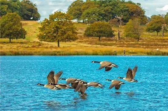 适合周末打卡的旅游胜地,周末旅游打卡圣地