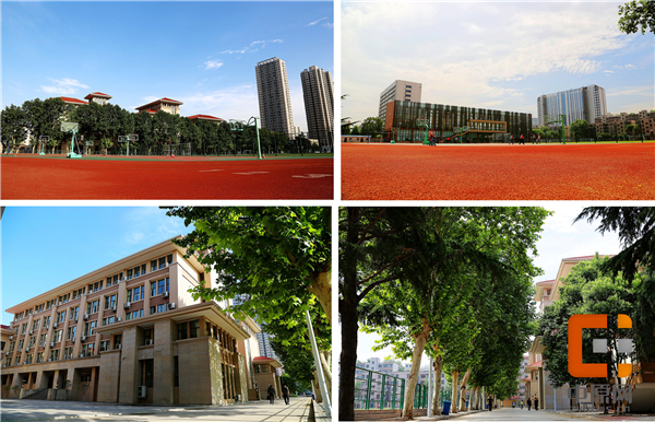 郑州二中,郑州二中中招成绩