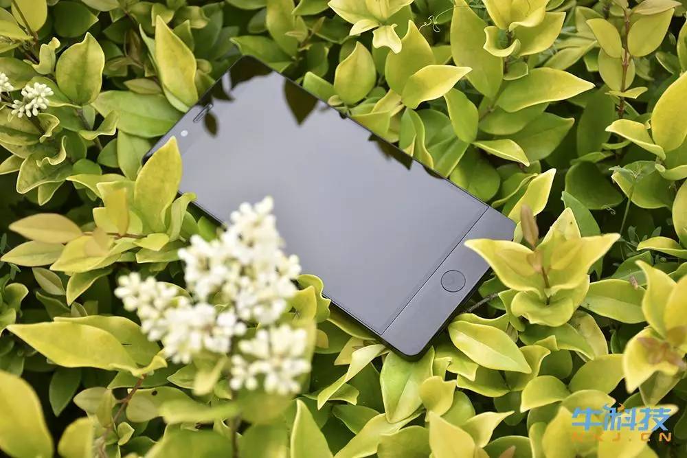 坚果pro手机一代测评,坚果手机pro深度测评